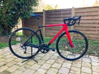 Specialized Roubaix Comp (2018) Shimano Ultegra (Gr. 54) Baden-Württemberg - Weinsberg Vorschau