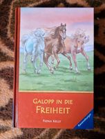 Buch, Roman, Jugendroman, Galopp in die Freiheit, Pferdebuch München - Allach-Untermenzing Vorschau
