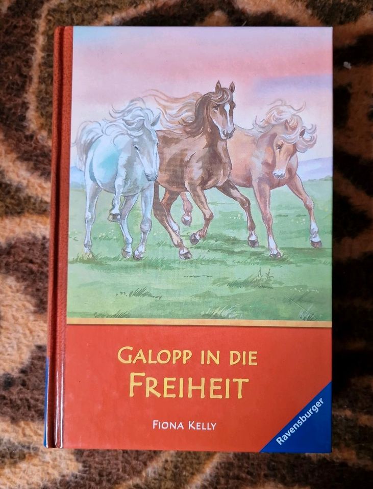 Buch, Roman, Jugendroman, Galopp in die Freiheit, Pferdebuch in München