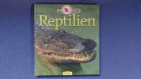 Reptilien - Sachbuch für Kinder Bayern - Landsberg (Lech) Vorschau
