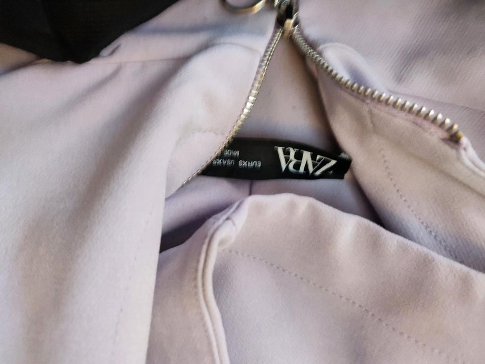 Zara Sporthose sweatshirt Anzug xs Flieder in Nörten-Hardenberg