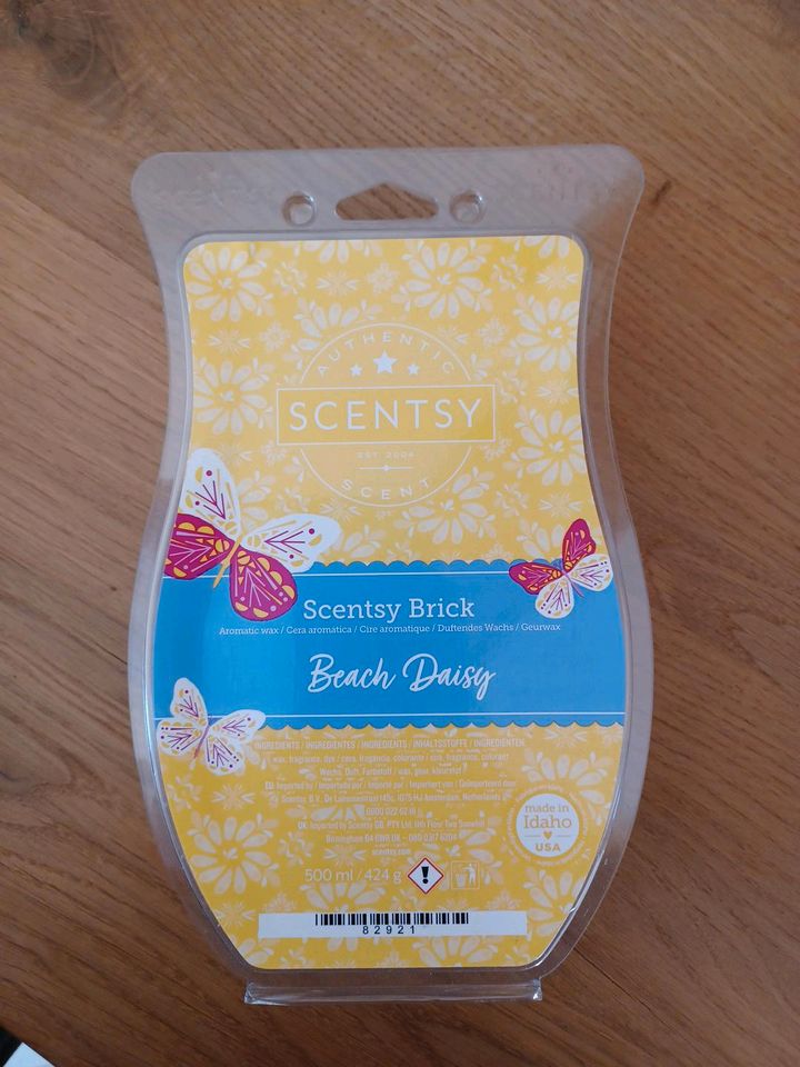 Scentsy Brick Bar Melt GROSS !!! Neu !!! Beach Daisy NEU in Pommersfelden