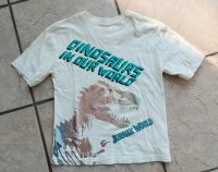 H&M ❣️ Kurzarm-Shirt Dinosaurier, Jurassic Größe 110/116 Nordrhein-Westfalen - Kalkar Vorschau