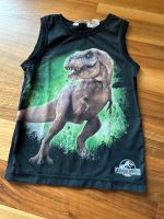 Shirt H&M 110/116 T-Rex Bayern - Leiblfing Vorschau