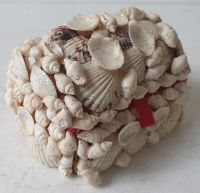 kleine vintage Schmuck-Schatulle-/truhe mit Muscheln und Glitzer Lübeck - St. Lorenz Nord Vorschau