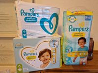 Windeln/ Pampers Premium Protection 5 & 6 (11 kg/13kg bis 16 kg) Sachsen - Treuen Vorschau