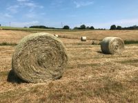 Heu Heuballen Rundballen Bio Öko Rheinland-Pfalz - Kirchberg (Hunsrück) Vorschau