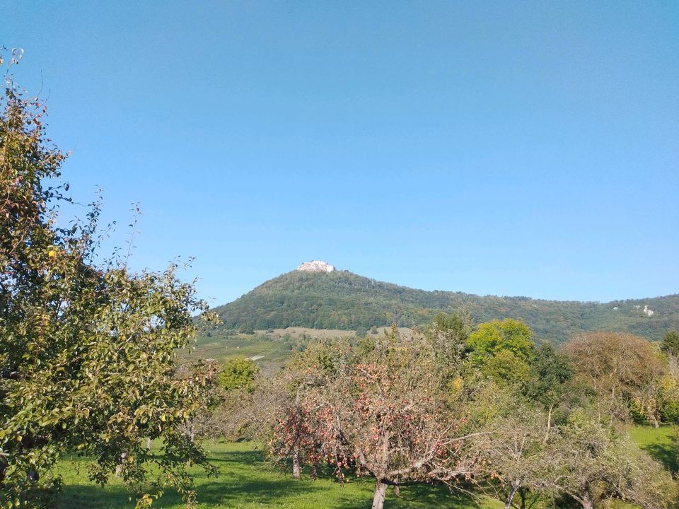 Wiese, Garten, Streuobstwiesen in Neuffen in BadenWürttemberg