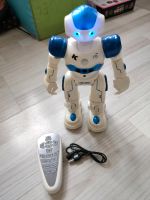 Roboter für Kinder Niedersachsen - Aurich Vorschau