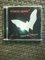 CD-Sammlung: Guano Apes & Fall Out Boy Nordrhein-Westfalen - Heiligenhaus Vorschau