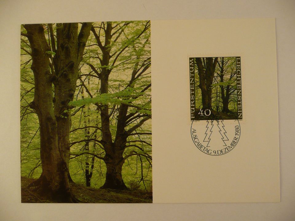 4 Liechtenstein Maximumkarten 1980, Nr. 19 Der Wald in den Jahres in Bamberg