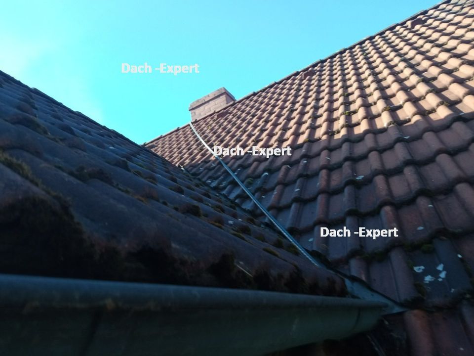 Dachreinigung Dachbesichtung Fassadenreinigung Fassadenanstrich in Frankfurt am Main
