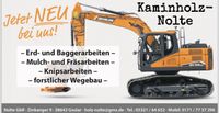 Baggerarbeiten-Baumfällarbeiten-Kaminholz/Brennholz Niedersachsen - Goslar Vorschau