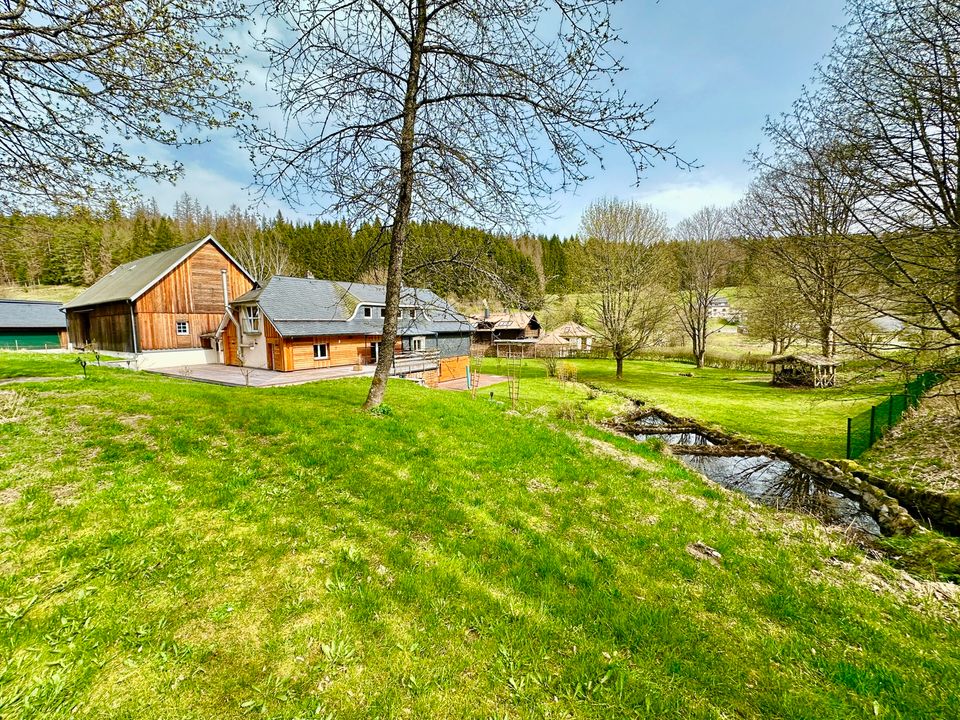 Haus am See! Traumhafte Landhausvilla mit XXL-Grundstück in toller und ruhiger Lage in Tettau