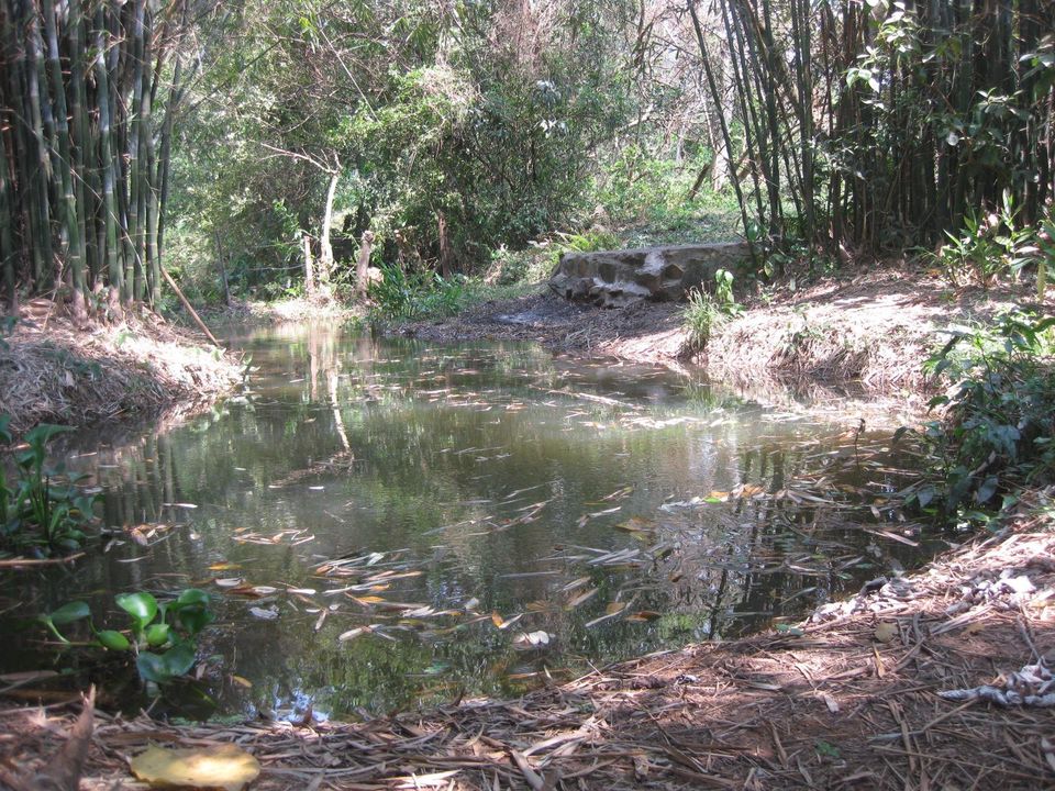 Paraguay Guaira' Villarrica Natur- Rundhaus Lehm/ Bambus 4500m² in Mannheim