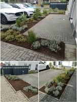Gartenarbeiten , Gartenpflege zu allen Jahreszeiten Nordrhein-Westfalen - Kamp-Lintfort Vorschau