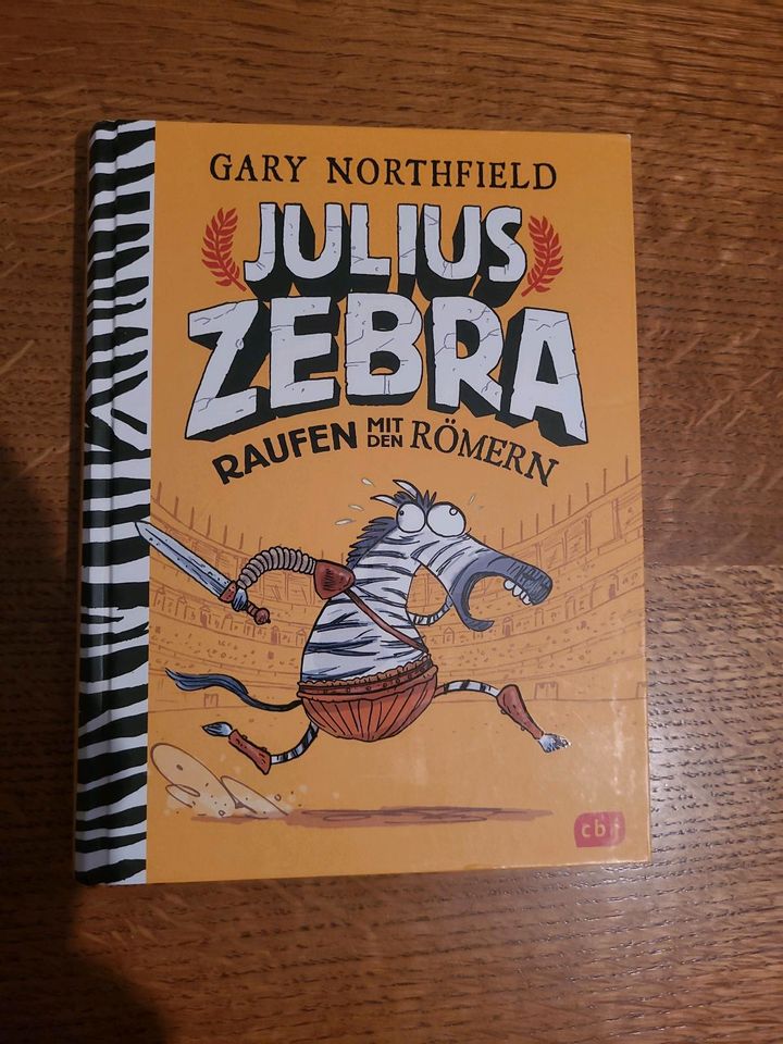 Julius Zebra in Balingen