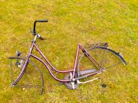 Fahrrad Rahmen 28 Zoll Aluminium Nordrhein-Westfalen - Langenberg Vorschau