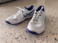 Sportschuhe Asics Gel Tactic 12 Gr. 39.5 Baden-Württemberg - Dettingen unter Teck Vorschau