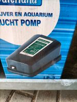 Luft Pumpe Teich Aquarium Sauerstoff Stein Nordrhein-Westfalen - Troisdorf Vorschau