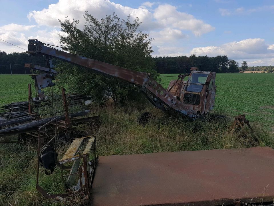 IFA -T172 Seilzugbagger in Schönfeld