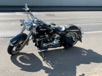 Harley Davidson Softail Deluxe Rheinland-Pfalz - Schiesheim Vorschau