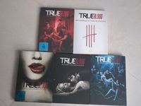 True Blood Staffel 1-5 DVD Kr. München - Oberschleißheim Vorschau