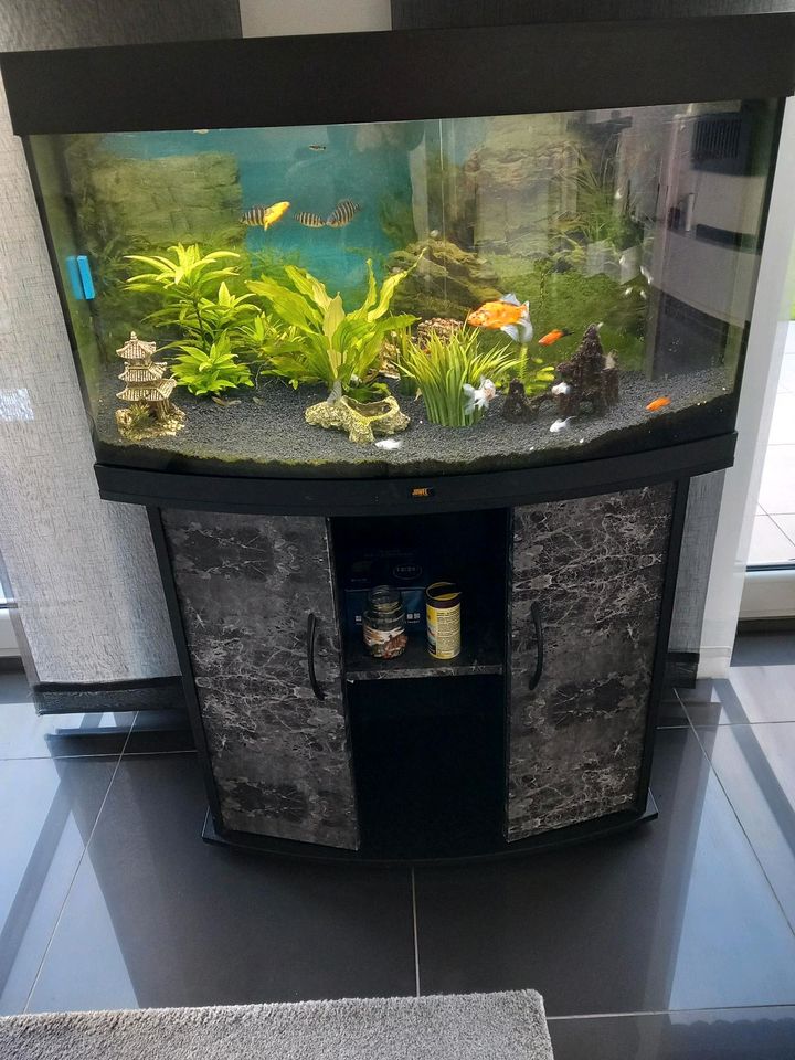 Aquarium mit viel Zubehör in Eschweiler