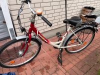 Mädchen Fahrrad 26 Zoll Nordrhein-Westfalen - Bad Salzuflen Vorschau