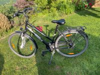 Pegasus Damenfahrrad 28 Zoll 21 Gänge Niedersachsen - Wunstorf Vorschau