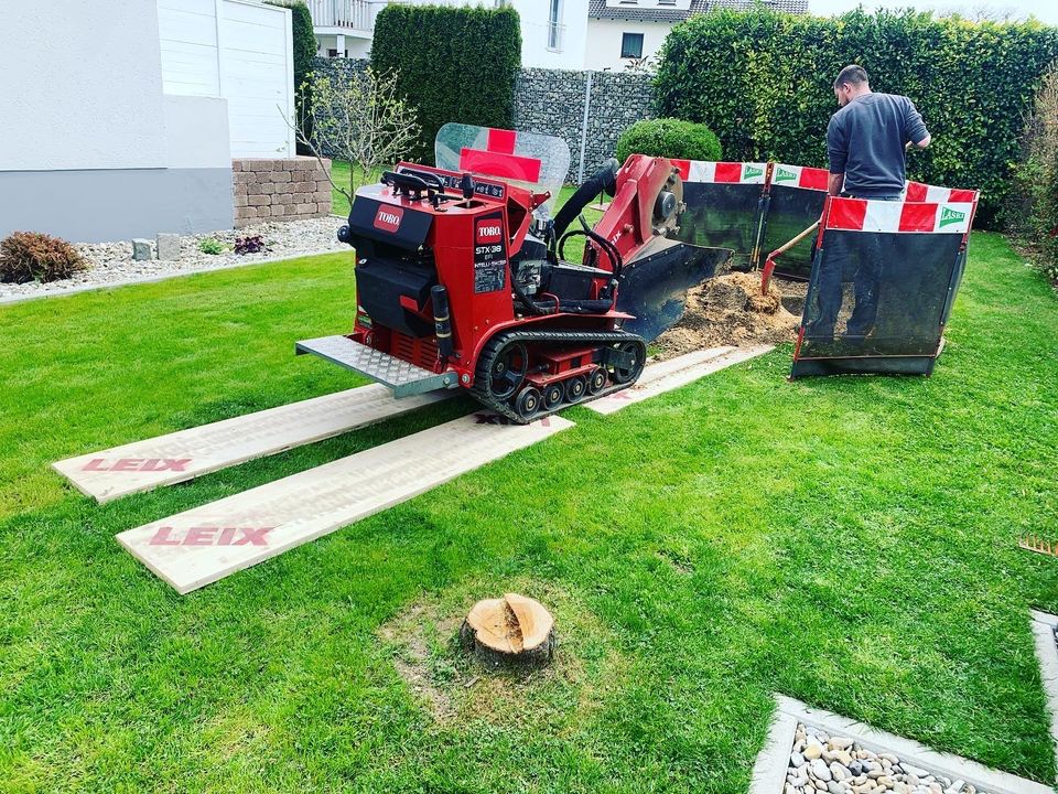 Baumstumpffräsen Stubbenfräsen Wurzelfräsen Hecke entfernen fräse in Wertingen