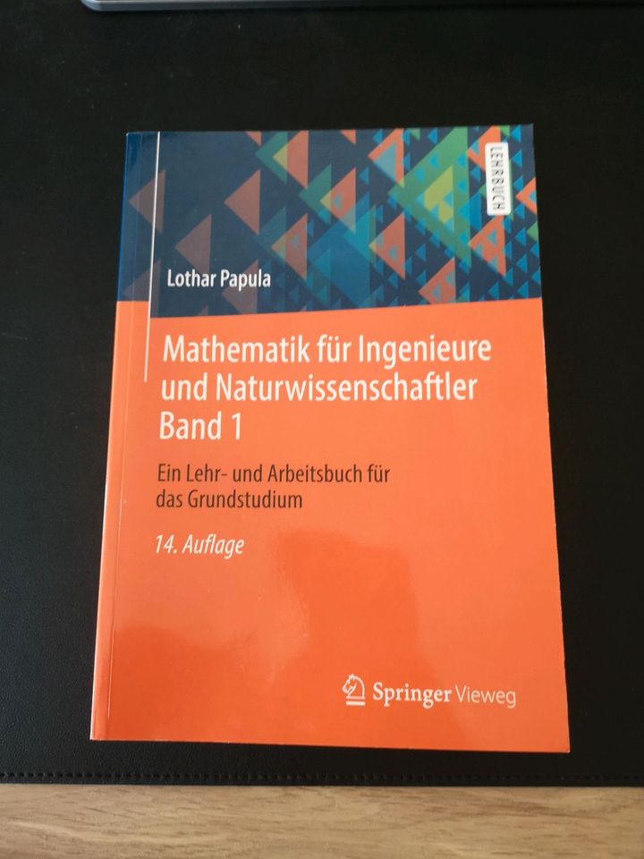 Mathematik für Ingenieure und Naturwissenschaftler Band 1 in Lingenfeld