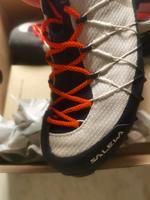 ++++Salewa wildfire 2 gtx oatmeal beige nagelneu Wanderschuhe Sachsen - Rothenburg Vorschau