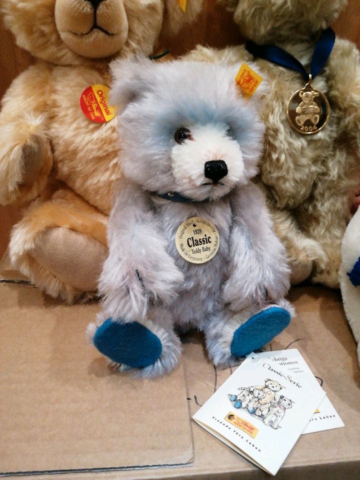 Steiff Sammlung Teddybären in Gerstetten