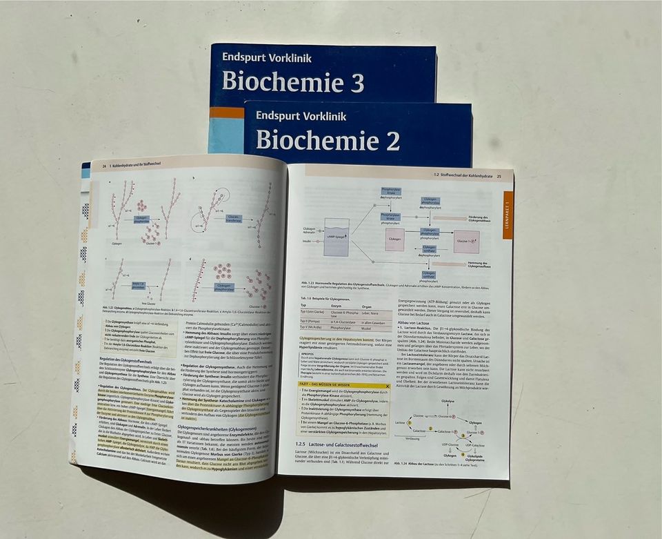 Endspurt Vorklinik Biochemie, Physiologie, Histologie 2. Auflage in Hamburg