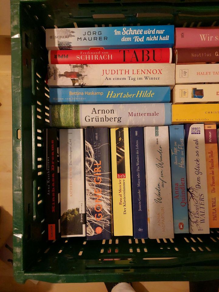 1 Kiste Bücher, Romane in Vellmar