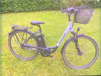 2 Schöne und Funktionsfähige E Bikes zu verkaufen! Nordfriesland - Bredstedt Vorschau