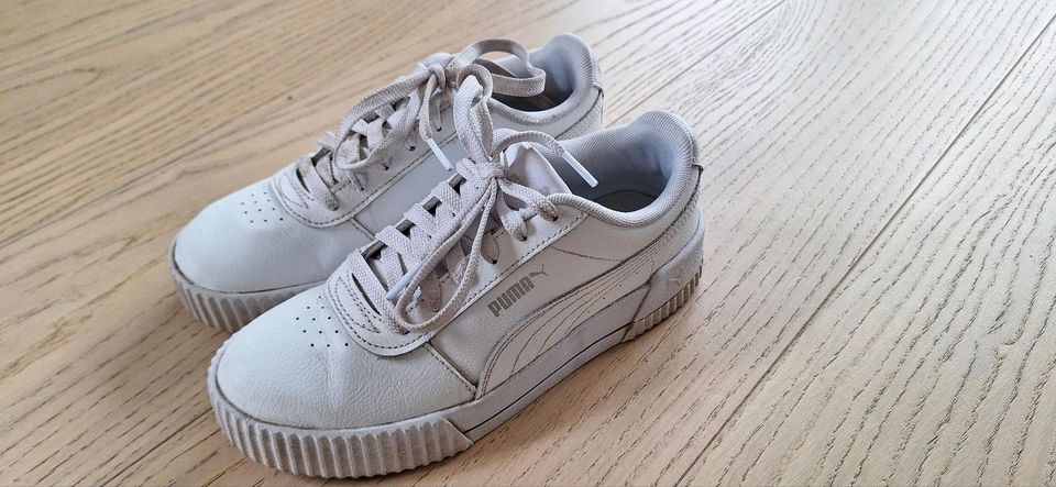 Puma Sneaker Gr.37 wenig getragen in Neustadt an der Weinstraße