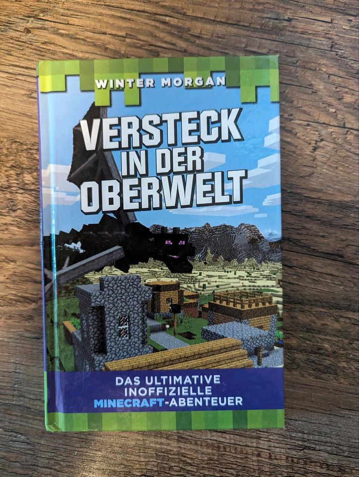 4 Minecraft Bücher - Winter Morgan in Zeulenroda