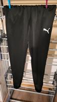 Trainingshose  Puma Brandenburg - Felixsee Vorschau