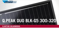 Solarmodule Q Cells Q.Peak DUO BLK-G5 315 Watt (Full Black) Sachsen - Zwickau Vorschau