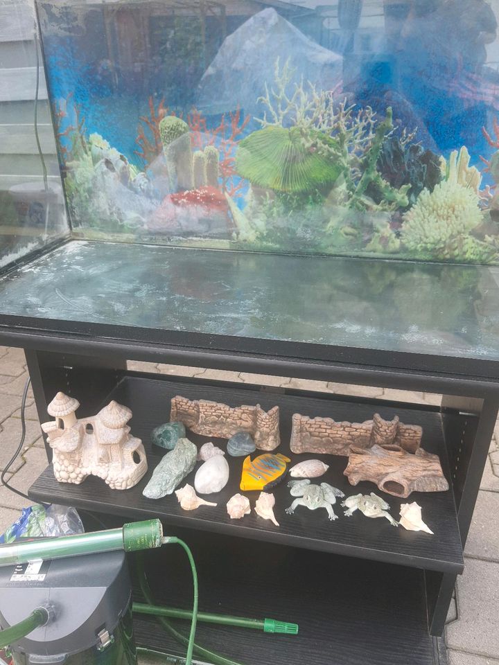 Aquarium mit Zubehör in Geiselhöring