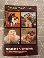 Ratgeber Das gute Heimtierbuch niedliche Kleinhunde Rheinland-Pfalz - Simmern Vorschau