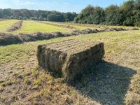 BIO Heu - Quaderballen & Rundballen - Heuballen Bayern - Stegaurach Vorschau