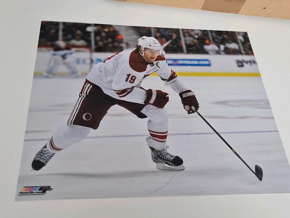 Phoenix Coyotes - verschiedene Fotos 20x25cm 8x10 NHL Eishockey in Bremen