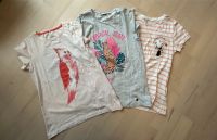 3x T-Shirt (next, Tom Tailor, only kids) Gr. 158/164 Wandsbek - Hamburg Farmsen-Berne Vorschau