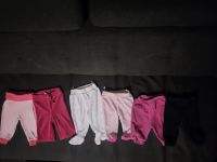 6 Leggins - Sweathosen - Jogginghosen Gr. 62 / 68 Nordrhein-Westfalen - Ibbenbüren Vorschau