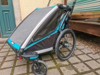 Thule Chariot Sport 2 Dresden - Pieschen Vorschau