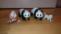 Schleich Tierpaket Pandapaar & kleiner Hund Dresden - Klotzsche Vorschau