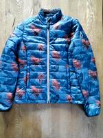 Dünne Damen Steppjacke von Gaastra Schleswig-Holstein - Handewitt Vorschau